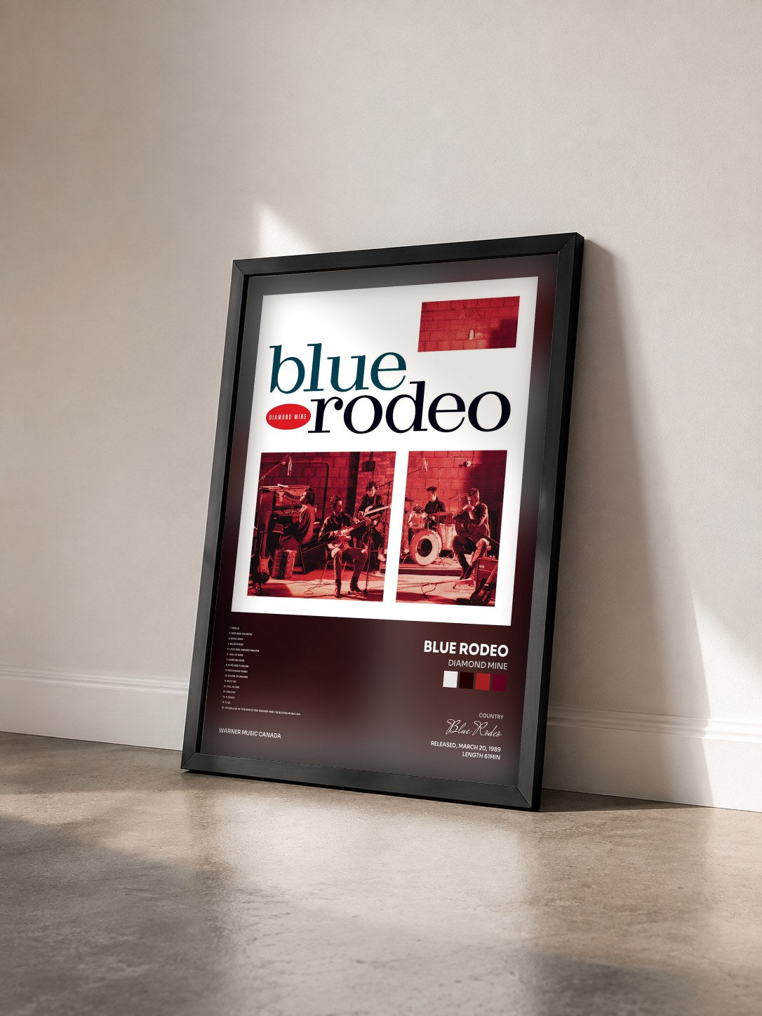 #noir Tableau de l'album Diamond Mine de Blue Rodeo vu de trois quarts, cadre noir