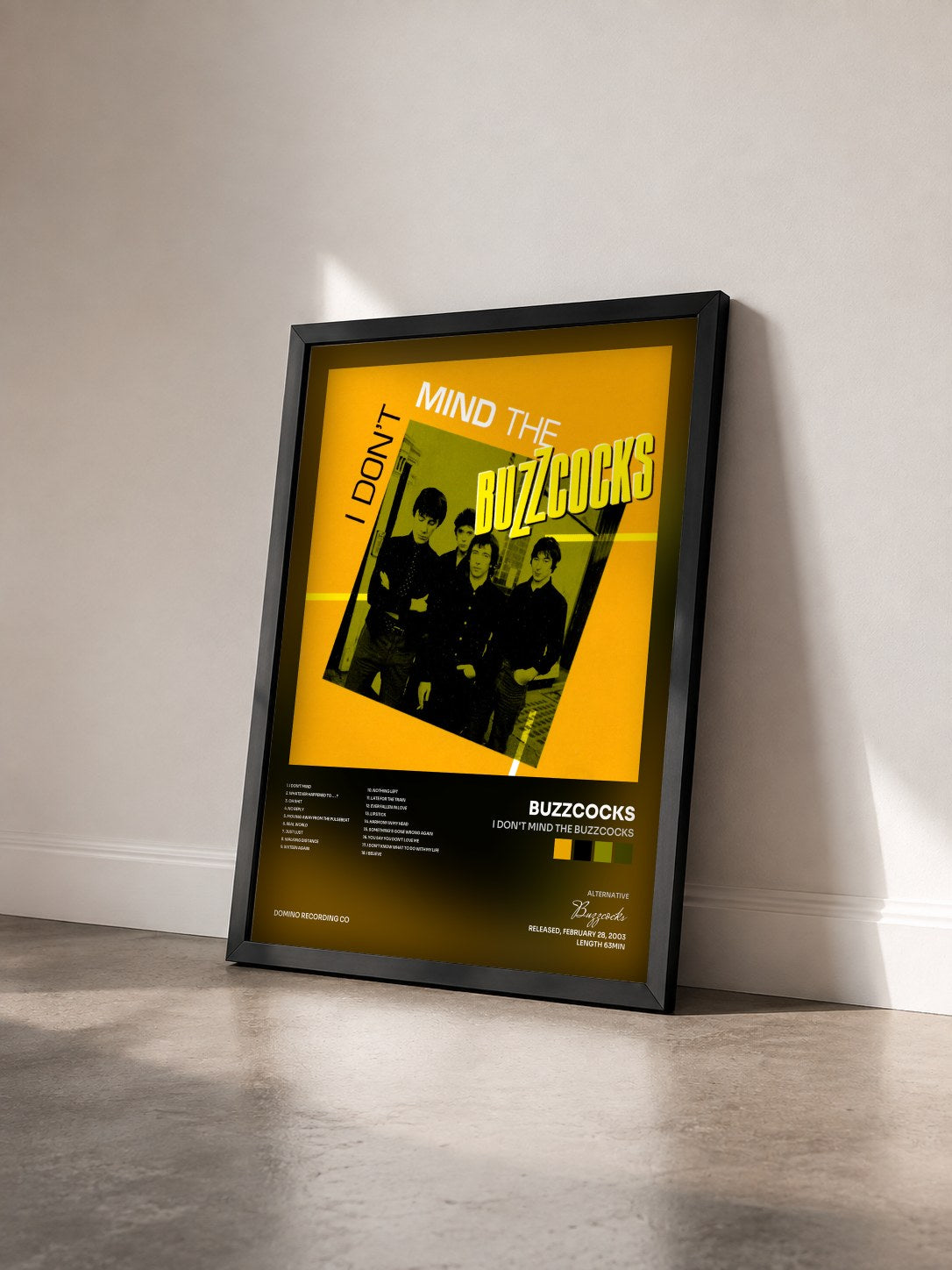 #noir Tableau de l'album I Don't Mind The Buzzcocks de Buzzcocks vu de trois quarts, cadre noir