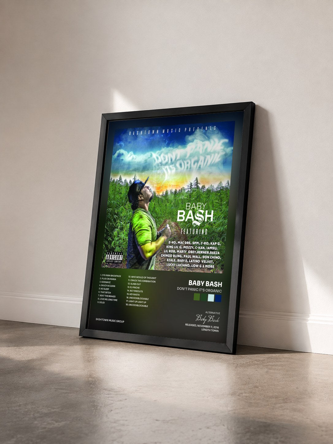 #noir Tableau de l'album Don't Panic It's Organic de Baby Bash vu de trois quarts, cadre noir