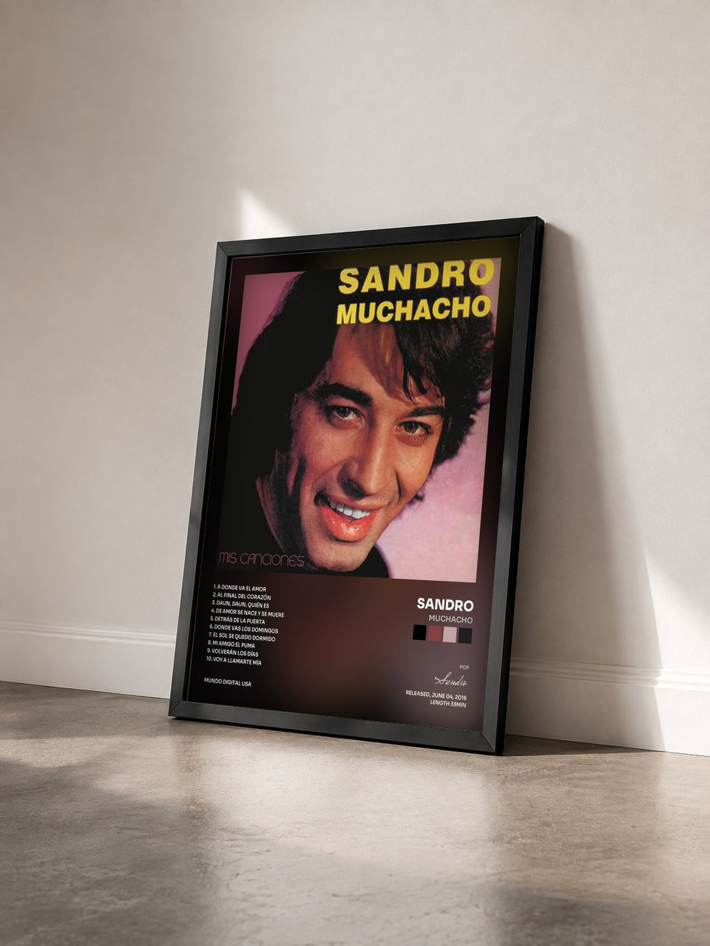 #noir Tableau de l'album Muchacho de Sandro vu de trois quarts, cadre noir
