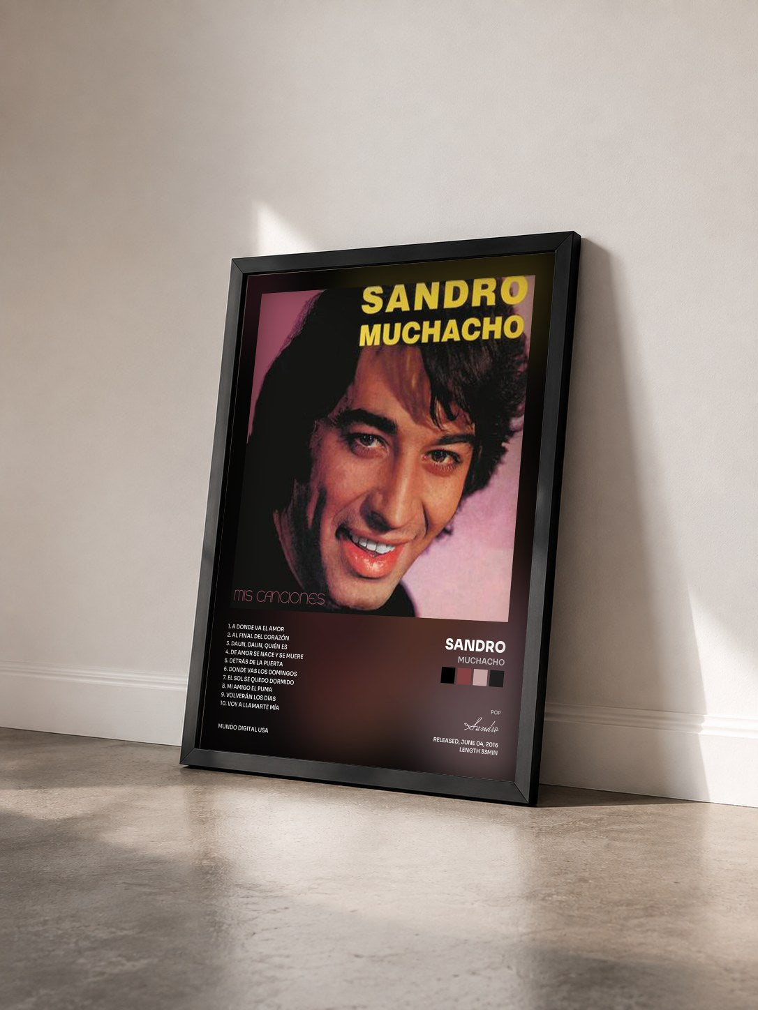 #noir Tableau de l'album Muchacho de Sandro vu de trois quarts, cadre noir