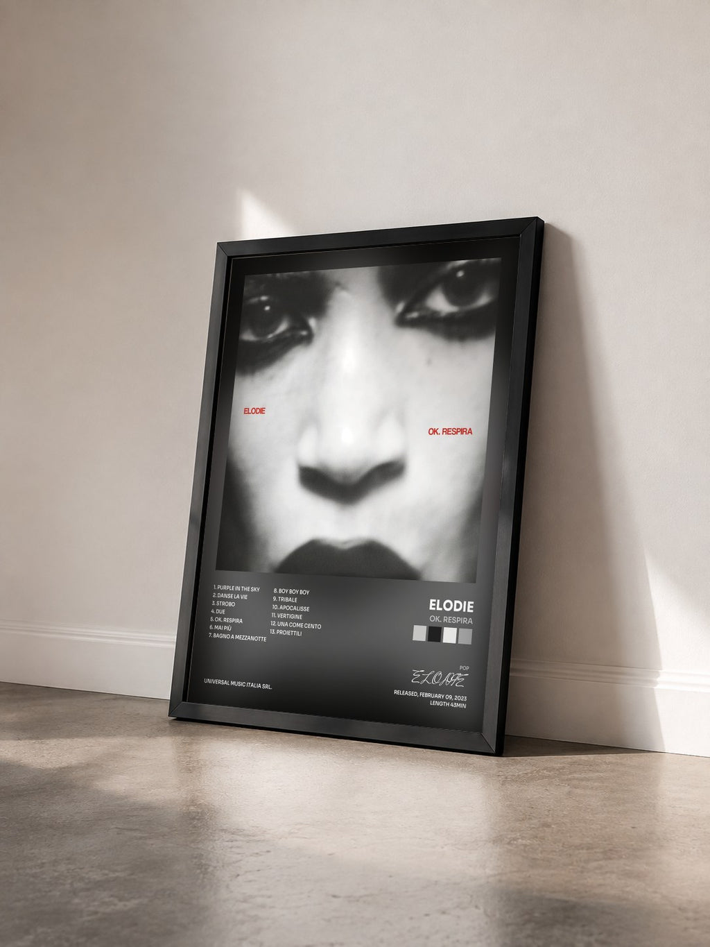 #noir Tableau de l'album Ok. Respira de ELODIE vu de trois quarts, cadre noir