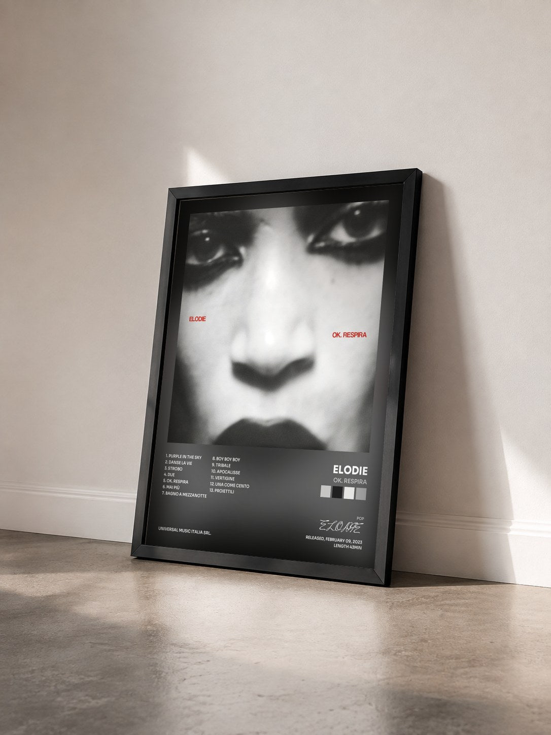#noir Tableau de l'album Ok. Respira de ELODIE vu de trois quarts, cadre noir