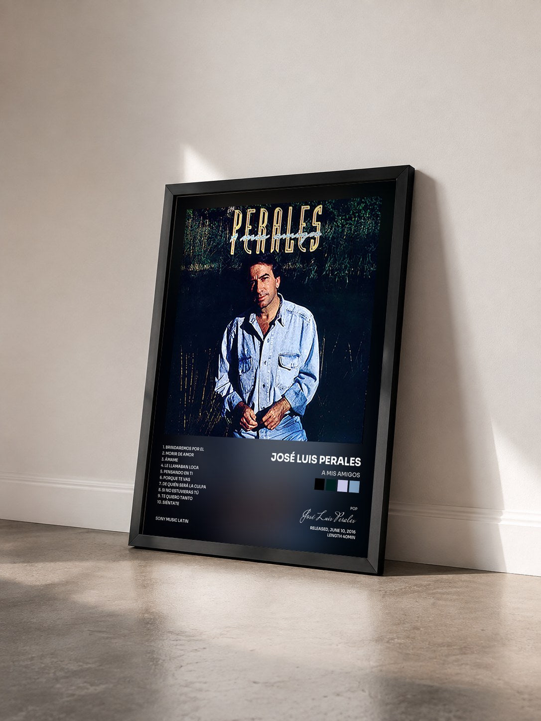#noir Tableau de l'album A Mis Amigos de José Luis Perales vu de trois quarts, cadre noir