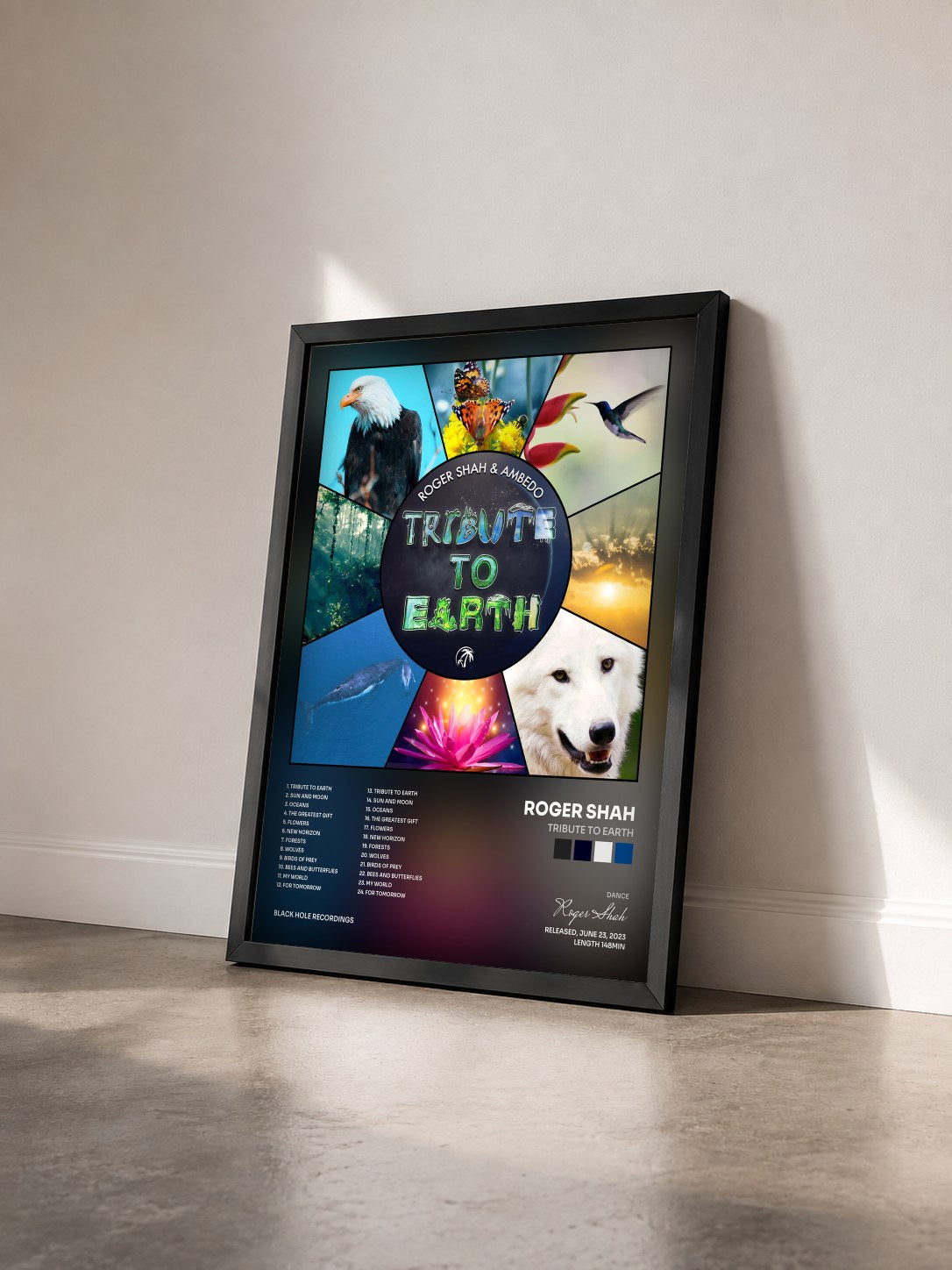 #noir Tableau de l'album Tribute to Earth de Roger Shah vu de trois quarts, cadre noir