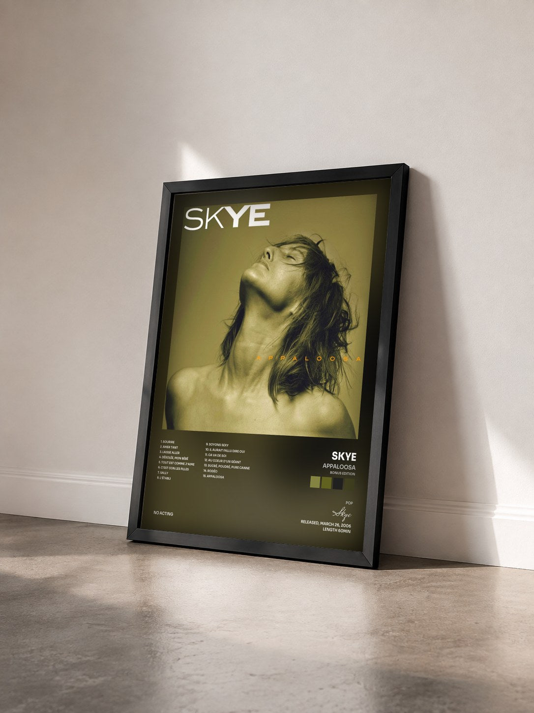 #noir Tableau de l'album Appaloosa (Bonus Edition) de Skye vu de trois quarts, cadre noir