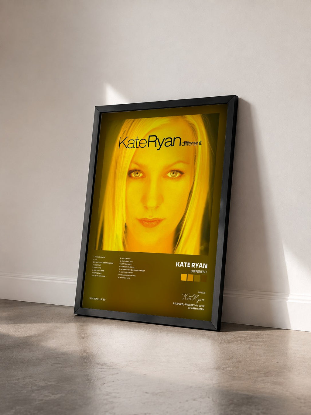 #noir Tableau de l'album Different de Kate Ryan vu de trois quarts, cadre noir