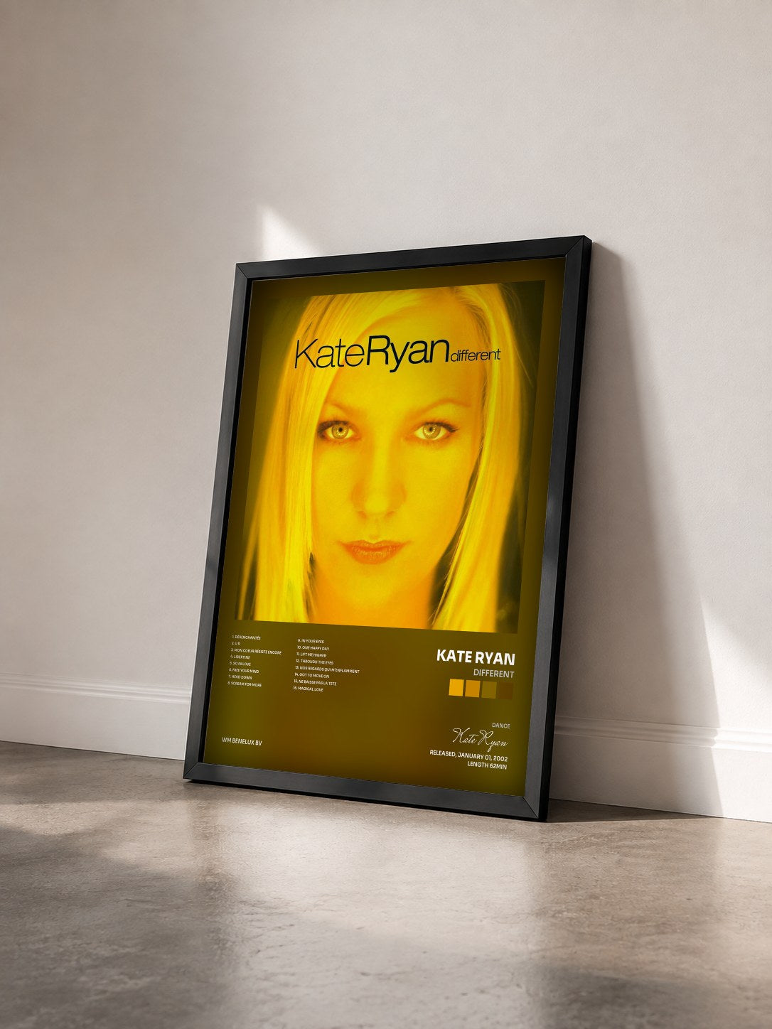#noir Tableau de l'album Different de Kate Ryan vu de trois quarts, cadre noir
