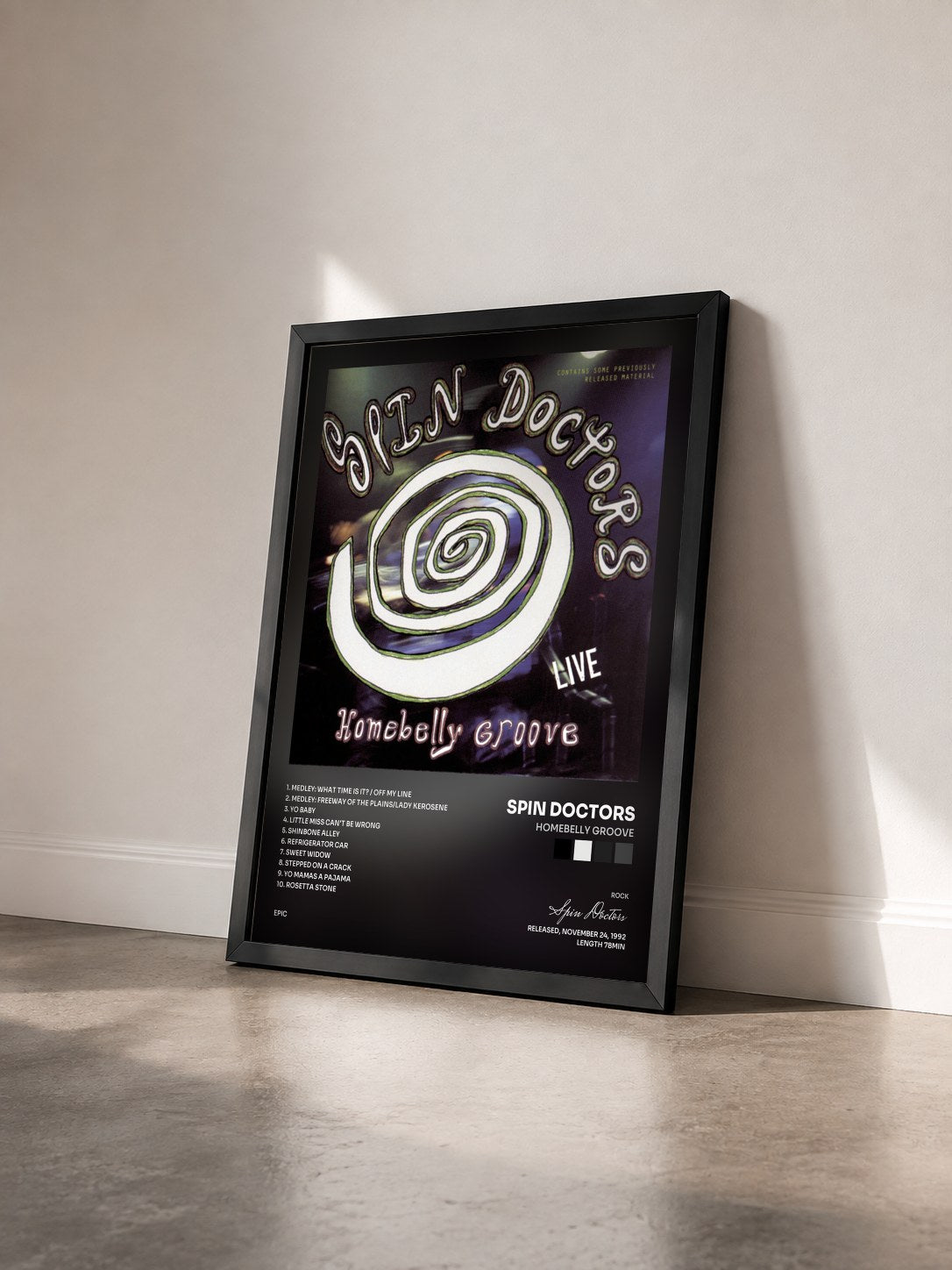 #noir Tableau de l'album HOMEBELLY GROOVE de Spin Doctors vu de trois quarts, cadre noir