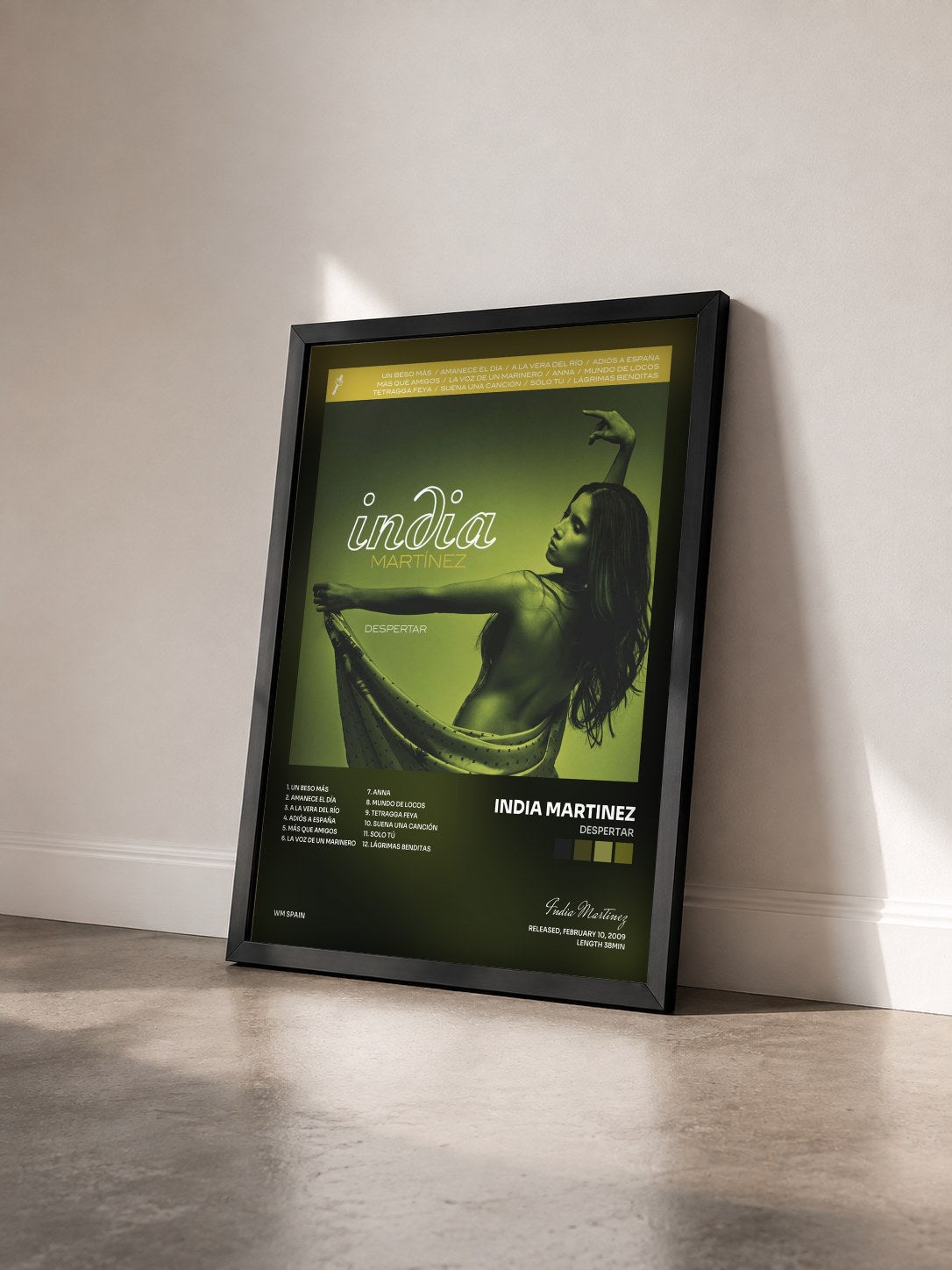 #noir Tableau de l'album Despertar de India Martinez vu de trois quarts, cadre noir