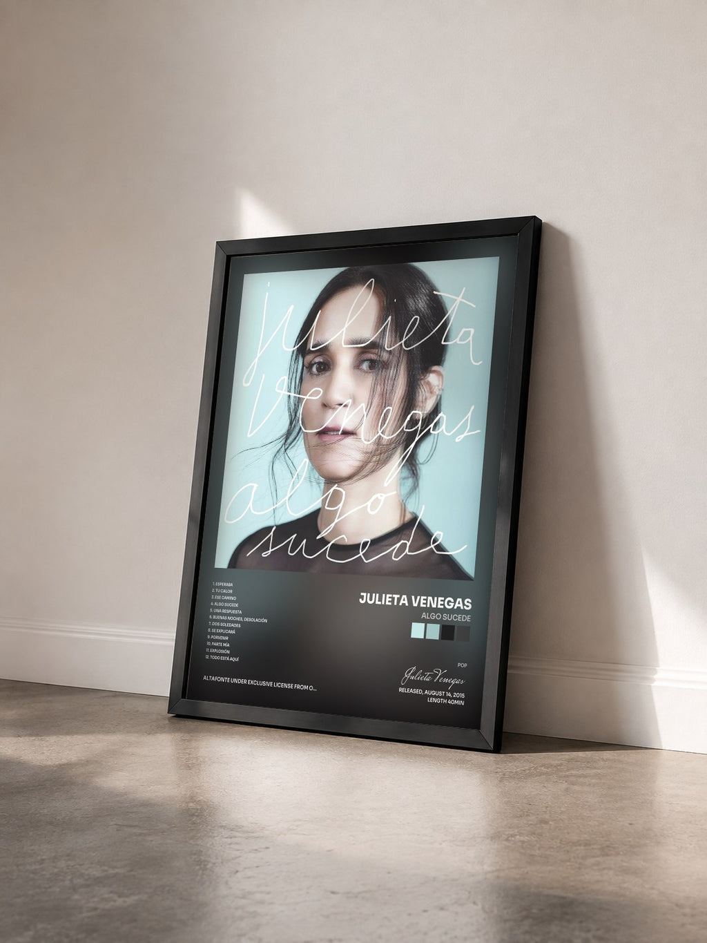 #noir Tableau de l'album Algo Sucede de Julieta Venegas vu de trois quarts, cadre noir