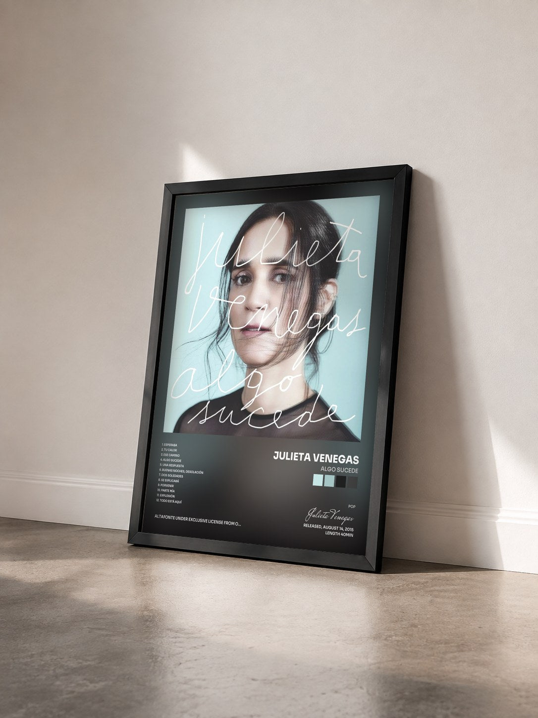 #noir Tableau de l'album Algo Sucede de Julieta Venegas vu de trois quarts, cadre noir