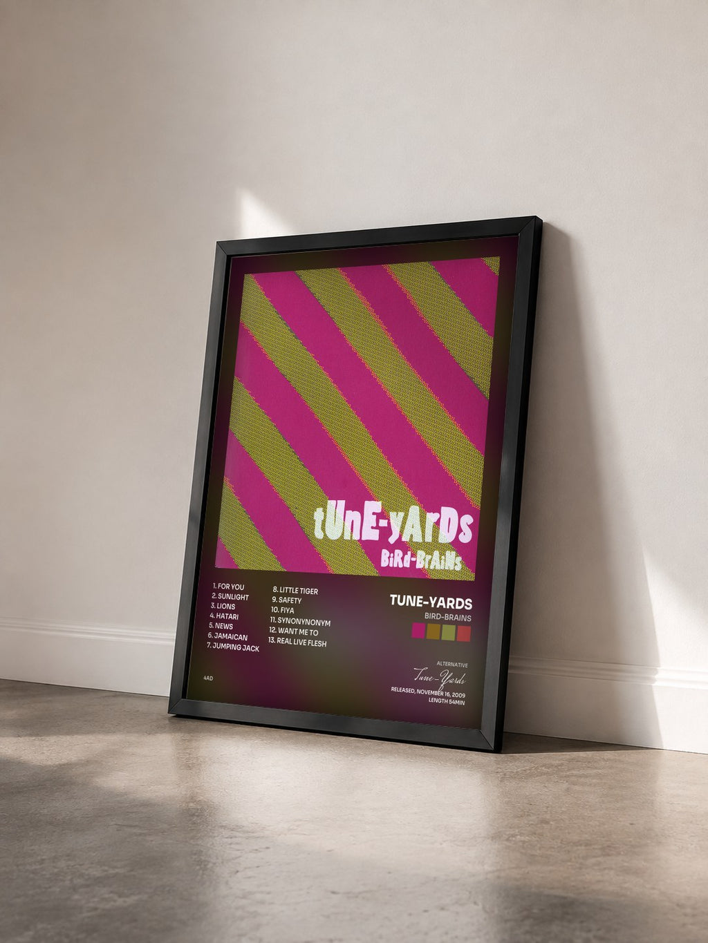 #noir Tableau de l'album Bird-Brains de Tune-Yards vu de trois quarts, cadre noir