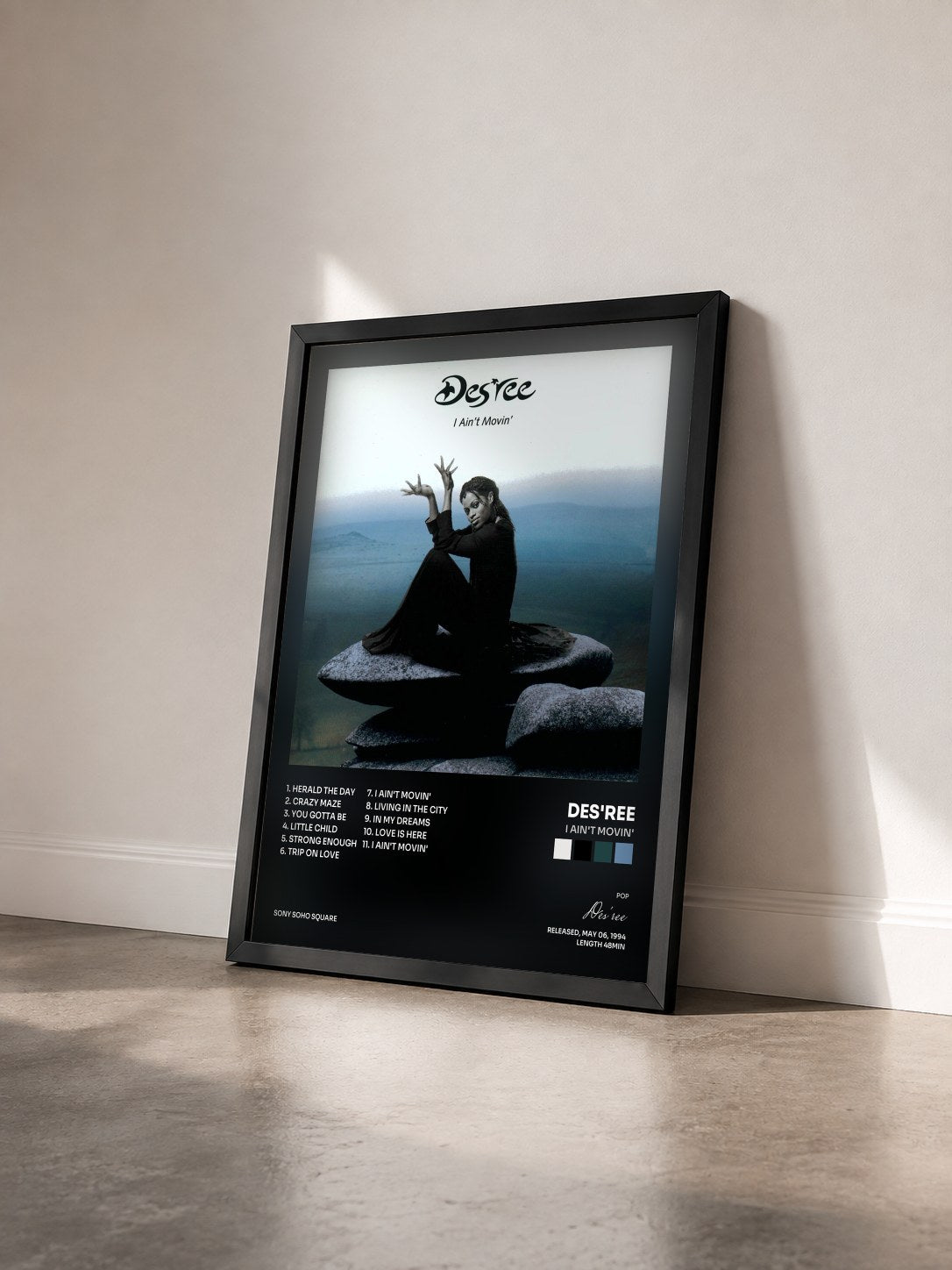 #noir Tableau de l'album I Ain't Movin' de Des'ree vu de trois quarts, cadre noir