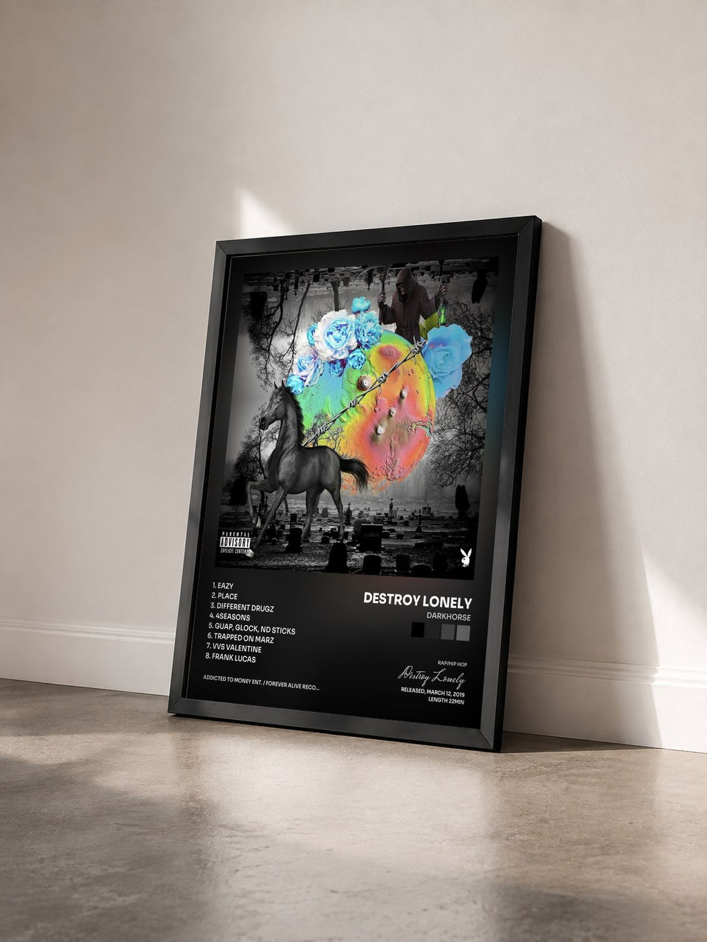 #noir Tableau de l'album Darkhorse de Destroy Lonely vu de trois quarts, cadre noir