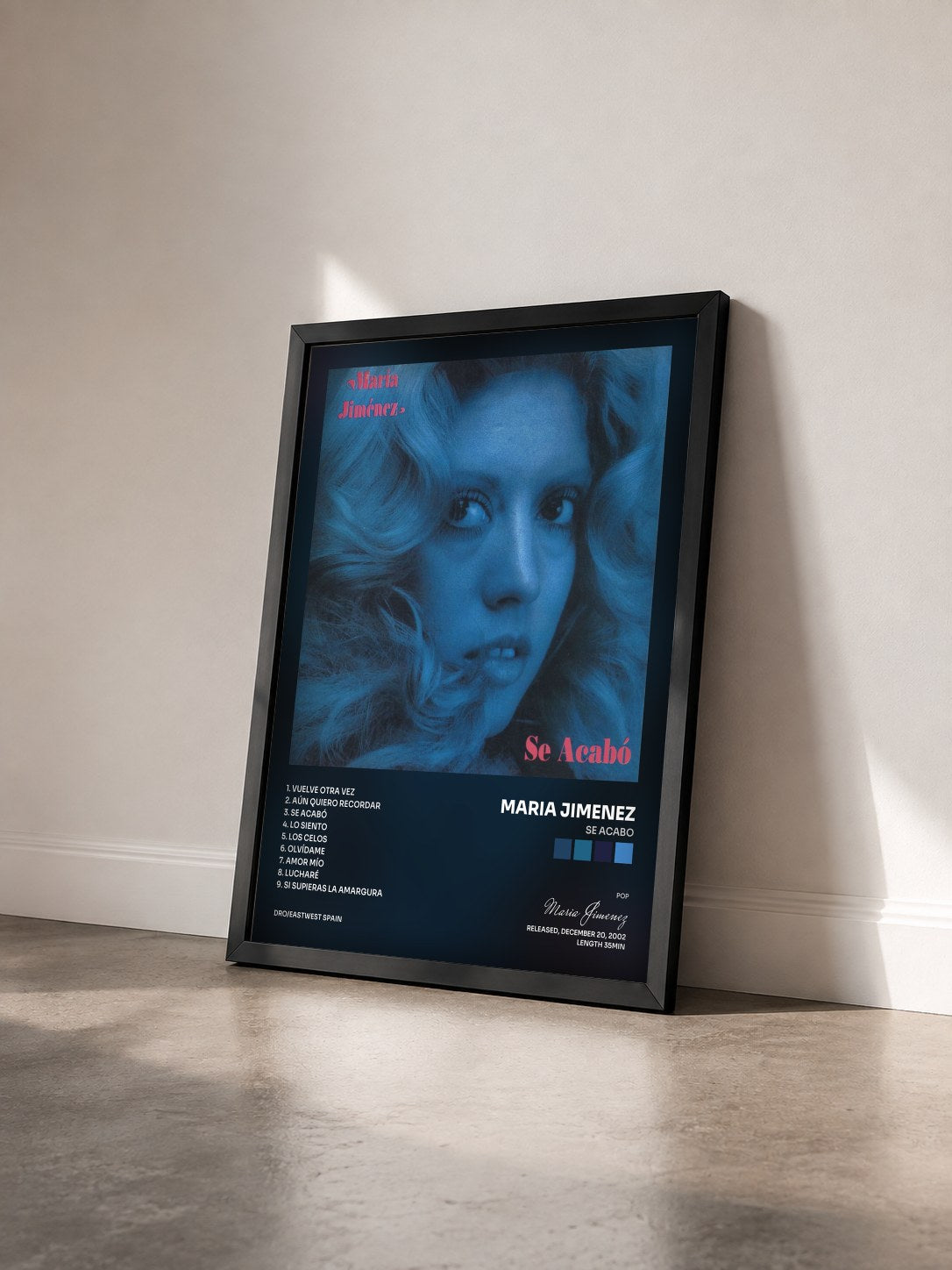 #noir Tableau de l'album Se acabo de Maria Jimenez vu de trois quarts, cadre noir