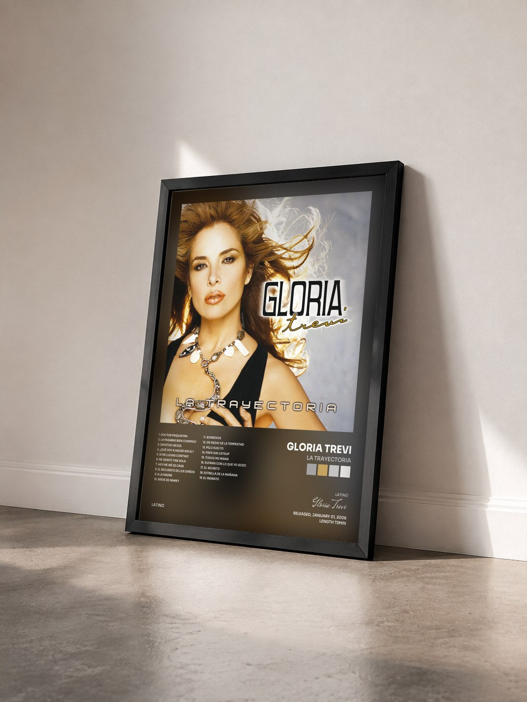 #noir Tableau de l'album La Trayectoria de Gloria Trevi vu de trois quarts, cadre noir