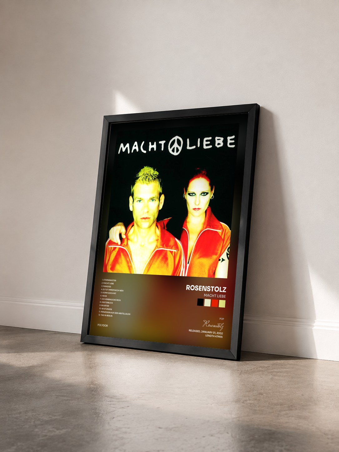 #noir Tableau de l'album Macht Liebe de Rosenstolz vu de trois quarts, cadre noir