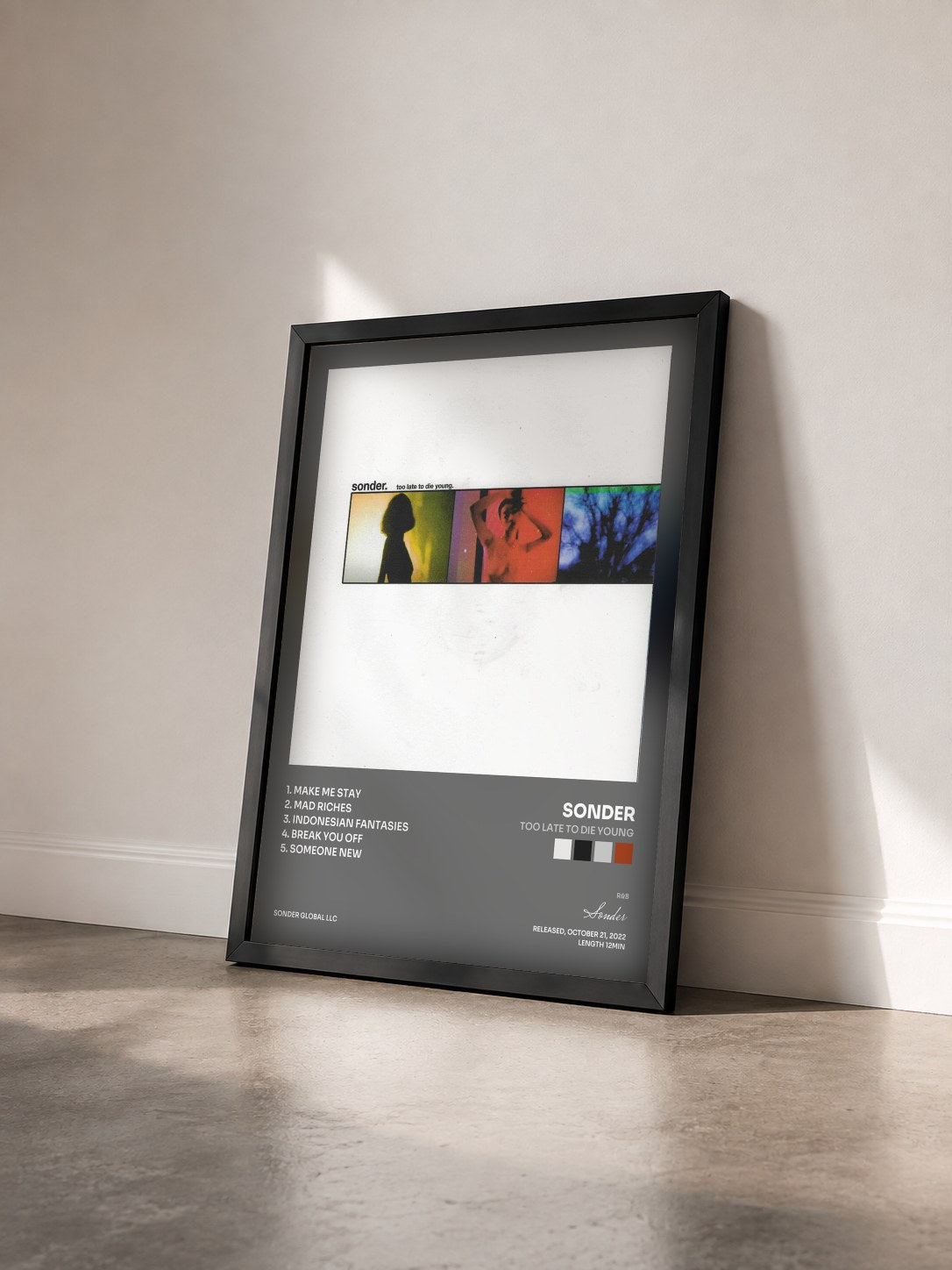 #noir Tableau de l'album Too Late To Die Young de Sonder vu de trois quarts, cadre noir