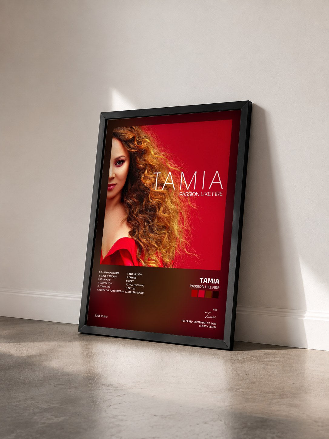 #noir Tableau de l'album Passion Like Fire de Tamia vu de trois quarts, cadre noir