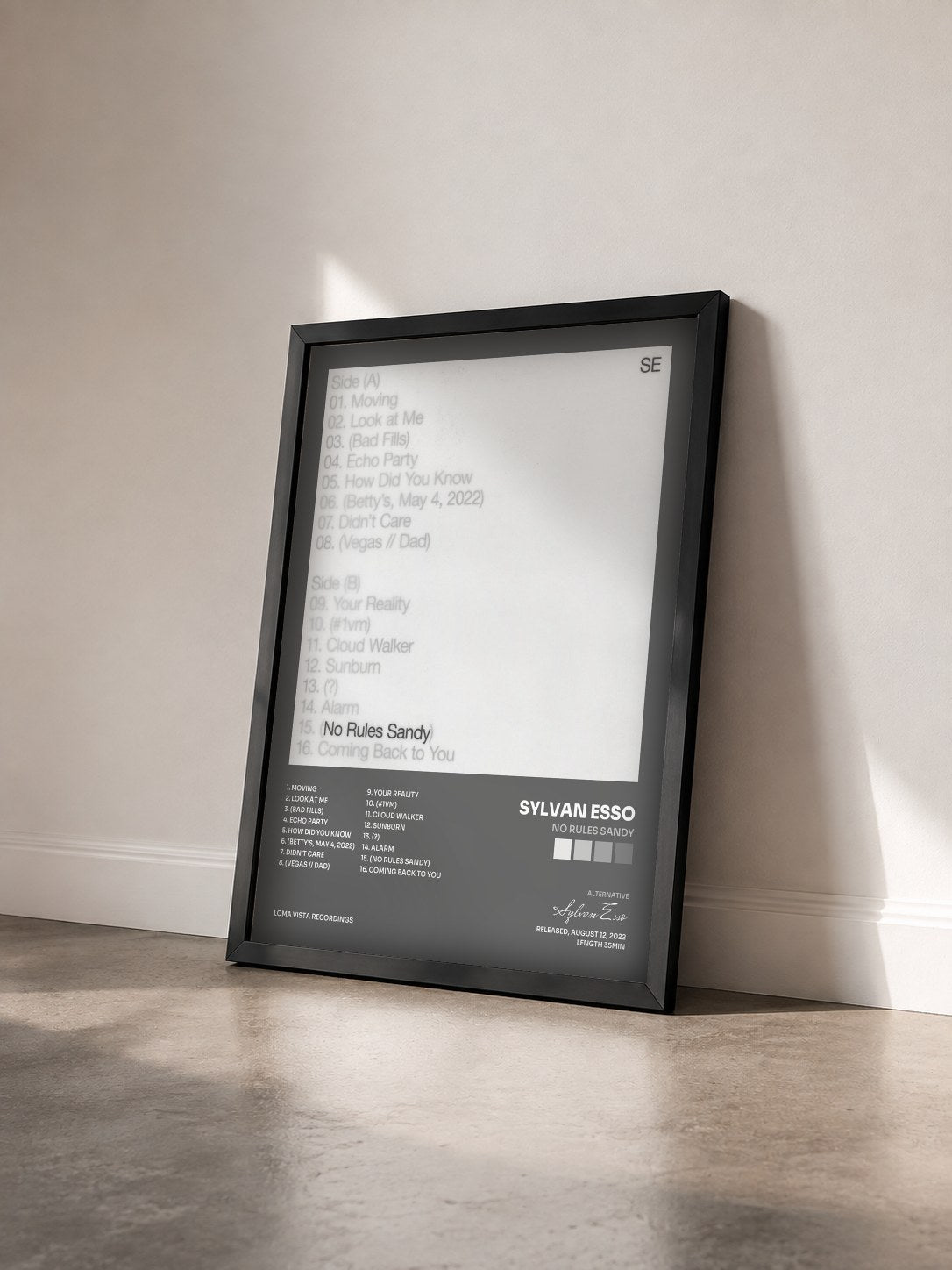 #noir Tableau de l'album No Rules Sandy de Sylvan Esso vu de trois quarts, cadre noir