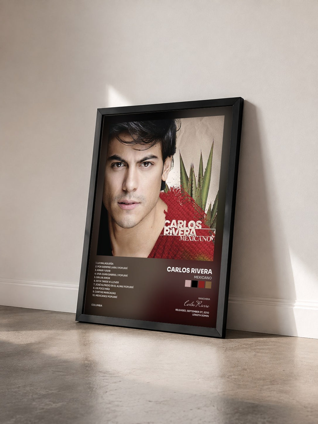 #noir Tableau de l'album Mexicano de Carlos Rivera vu de trois quarts, cadre noir