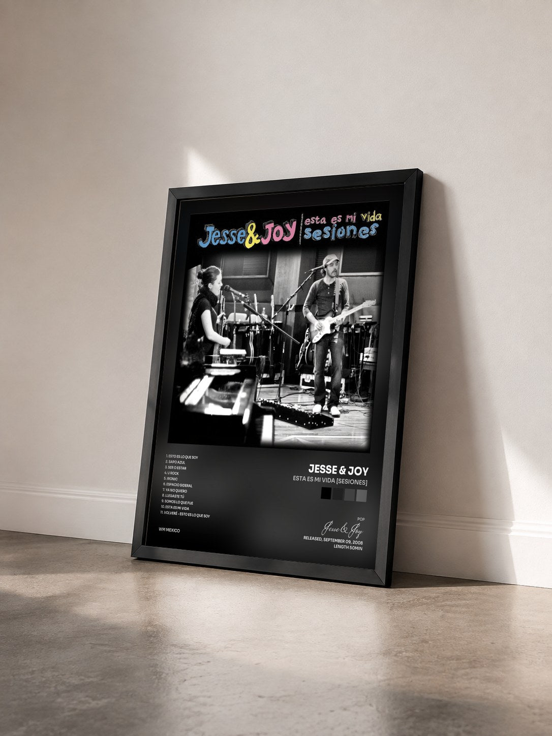 #noir Tableau de l'album Esta Es Mi Vida [Sesiones] de Jesse & Joy vu de trois quarts, cadre noir