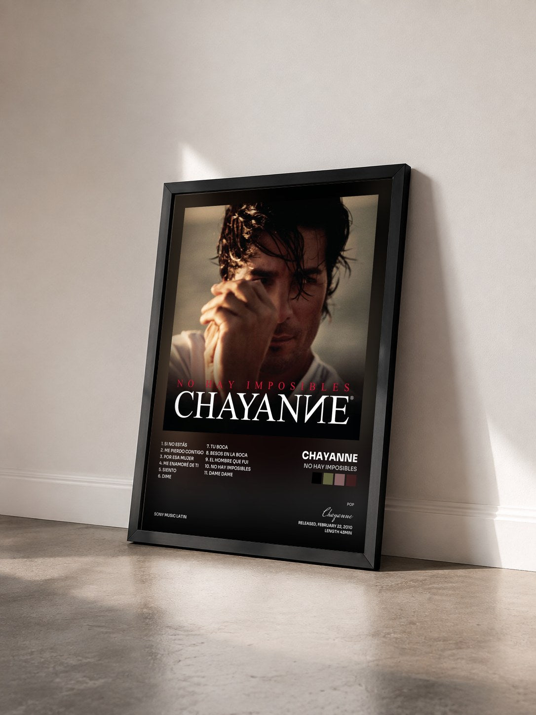 #noir Tableau de l'album No Hay Imposibles de Chayanne vu de trois quarts, cadre noir