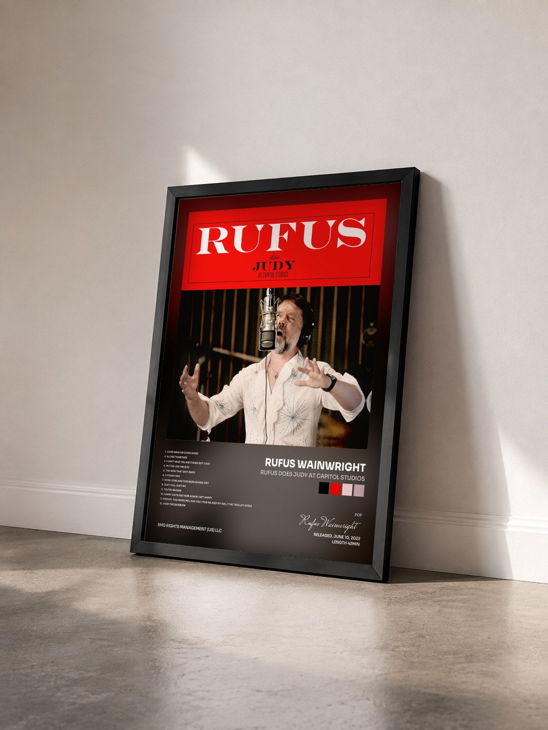 #noir Tableau de l'album Rufus Does Judy At Capitol Studios de Rufus Wainwright vu de trois quarts, cadre noir