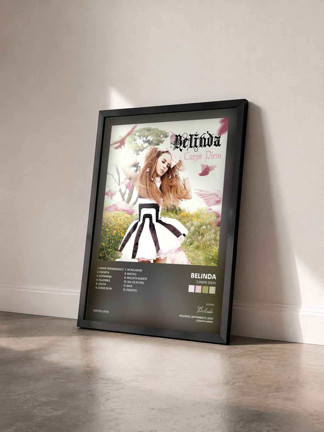 #noir Tableau de l'album Carpe Diem de Belinda vu de trois quarts, cadre noir