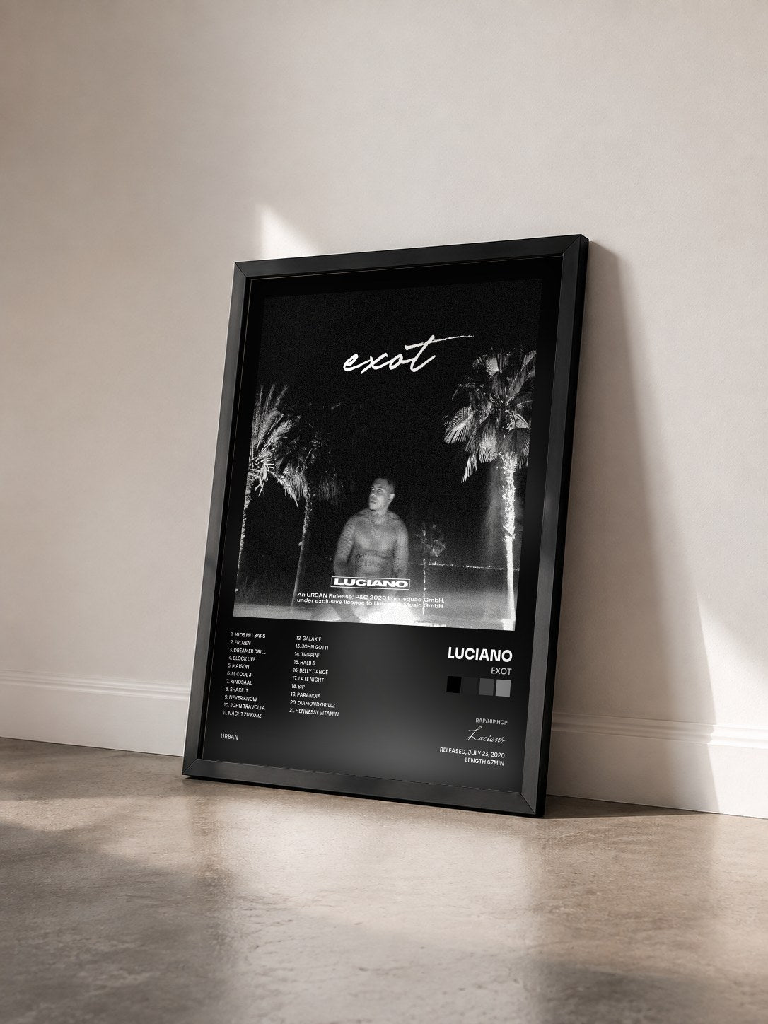 #noir Tableau de l'album EXOT de Luciano vu de trois quarts, cadre noir