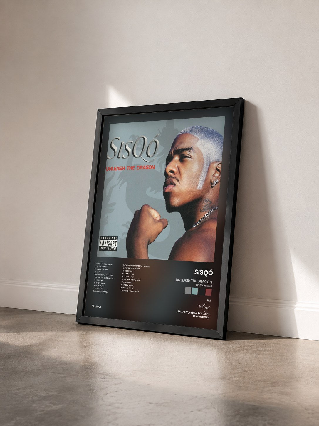 #noir Tableau de l'album Unleash The Dragon (Special Edition) de Sisqó vu de trois quarts, cadre noir
