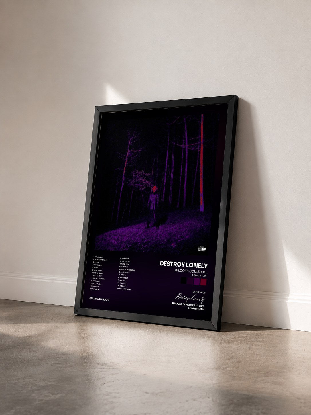 #noir Tableau de l'album If Looks Could Kill (Directors Cut) de Destroy Lonely vu de trois quarts, cadre noir