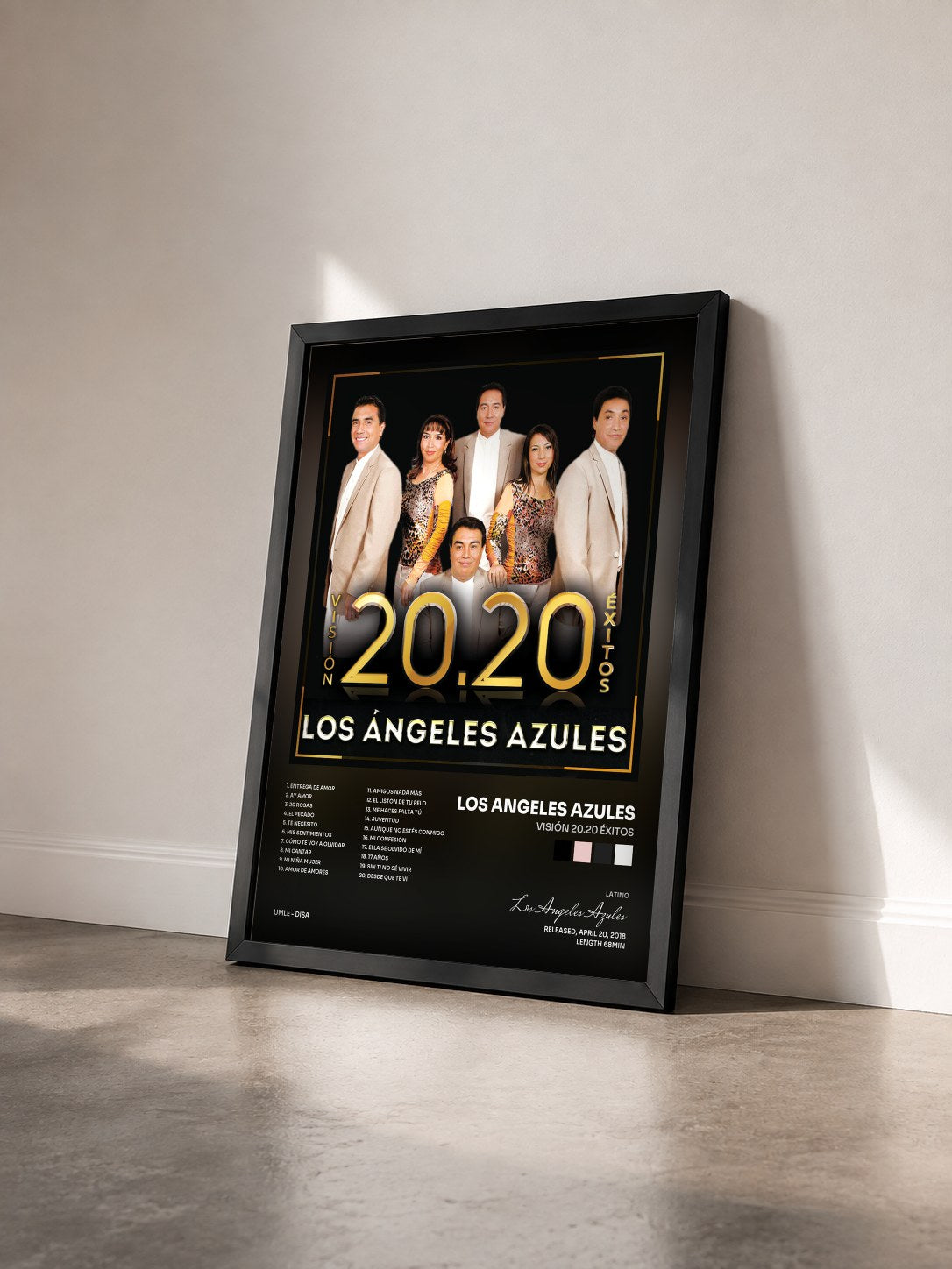 #noir Tableau de l'album Visión 20.20 Éxitos de Los Angeles Azules vu de trois quarts, cadre noir