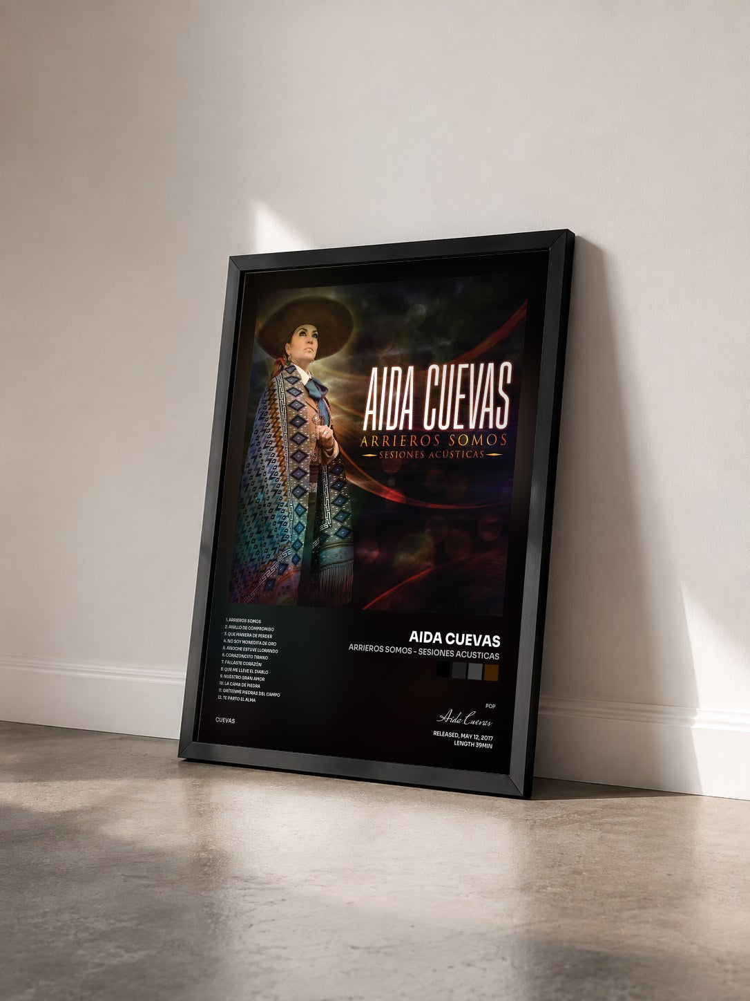 #noir Tableau de l'album Arrieros Somos - Sesiones Acusticas de Aida Cuevas vu de trois quarts, cadre noir
