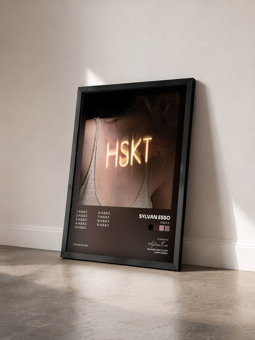 #noir Tableau de l'album H.S.K.T. de Sylvan Esso vu de trois quarts, cadre noir