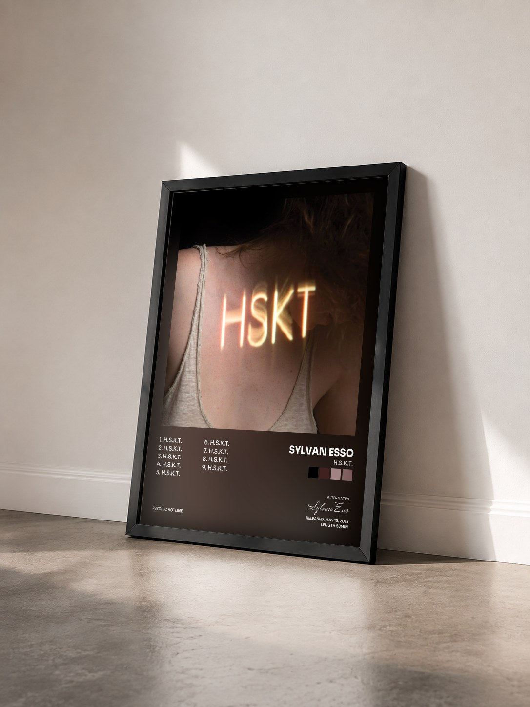 #noir Tableau de l'album H.S.K.T. de Sylvan Esso vu de trois quarts, cadre noir