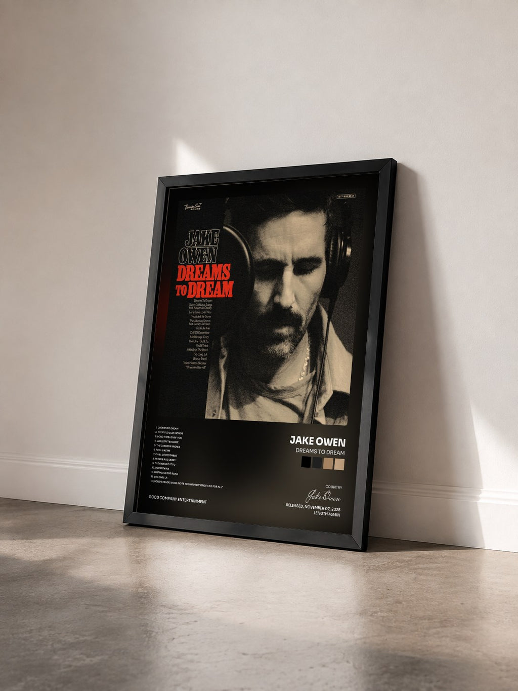 #noir Tableau de l'album Dreams to Dream de Jake Owen vu de trois quarts, cadre noir
