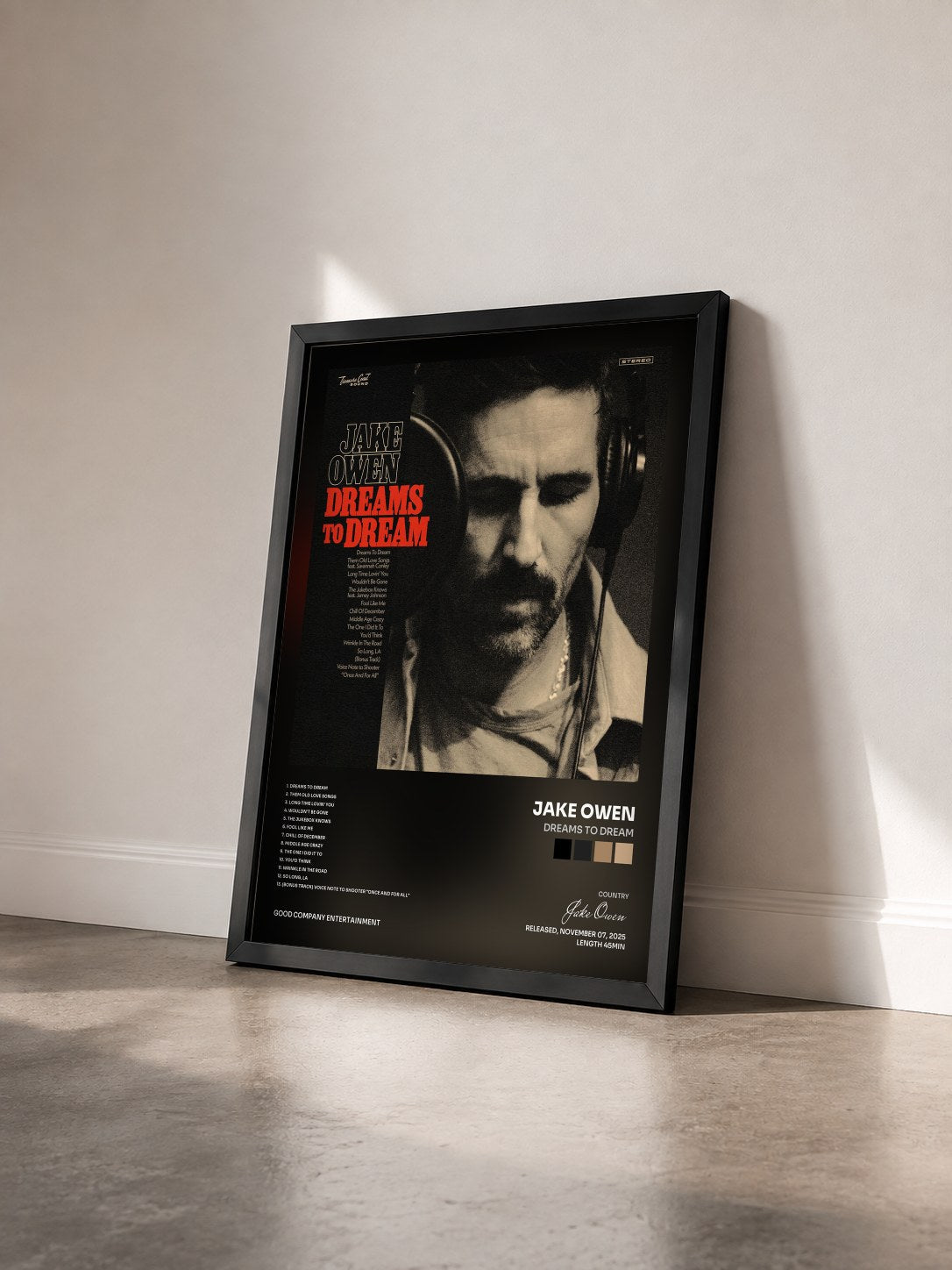 #noir Tableau de l'album Dreams to Dream de Jake Owen vu de trois quarts, cadre noir