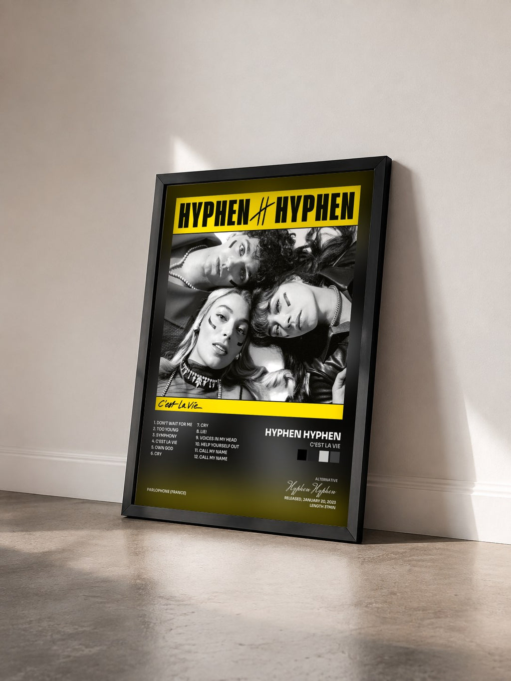 #noir Tableau de l'album C'est La vie de Hyphen Hyphen vu de trois quarts, cadre noir