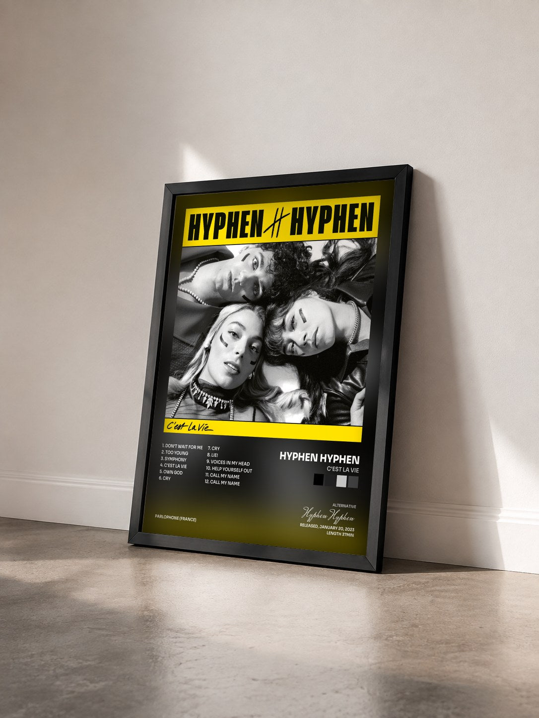 #noir Tableau de l'album C'est La vie de Hyphen Hyphen vu de trois quarts, cadre noir