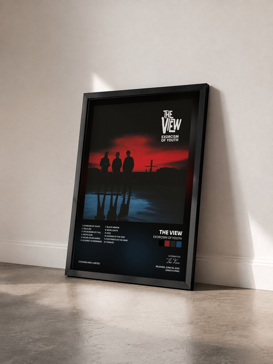 #noir Tableau de l'album Exorcism of Youth de The View vu de trois quarts, cadre noir