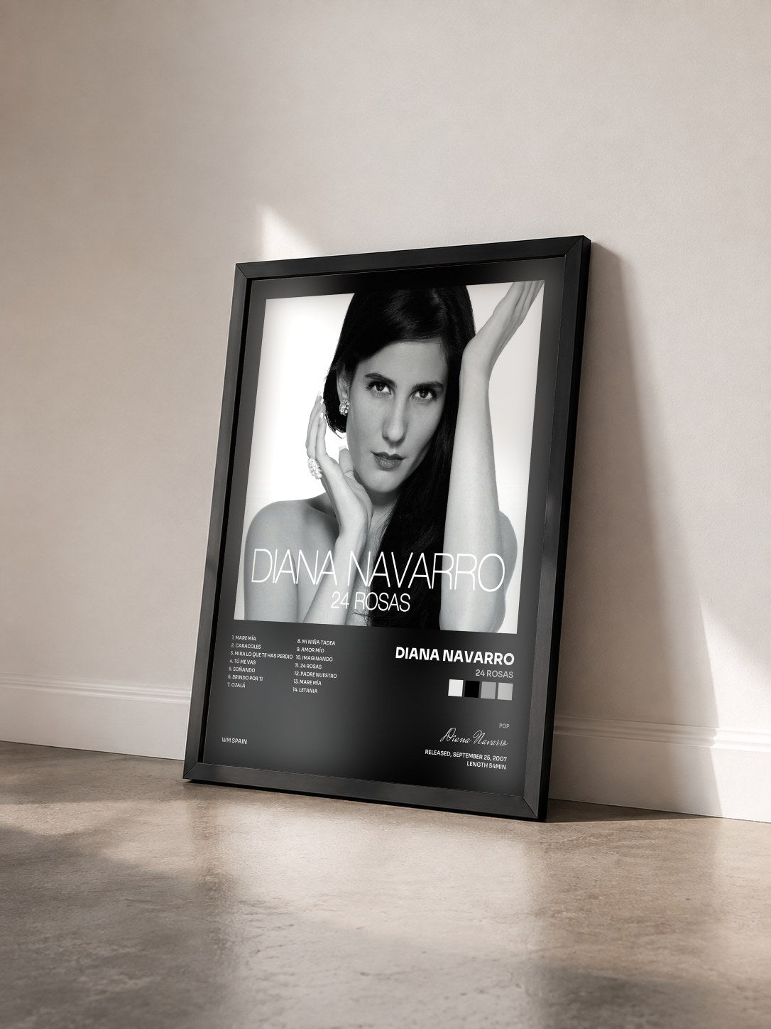 #noir Tableau de l'album 24 Rosas de Diana Navarro vu de trois quarts, cadre noir