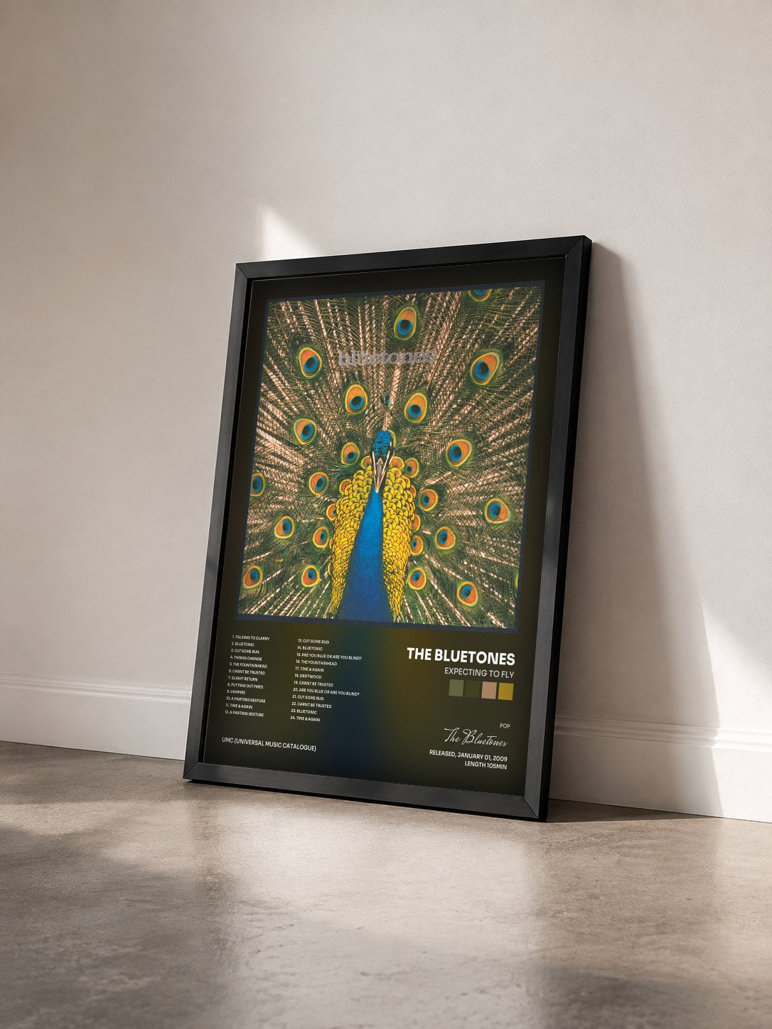 #noir Tableau de l'album Expecting To Fly de The Bluetones vu de trois quarts, cadre noir