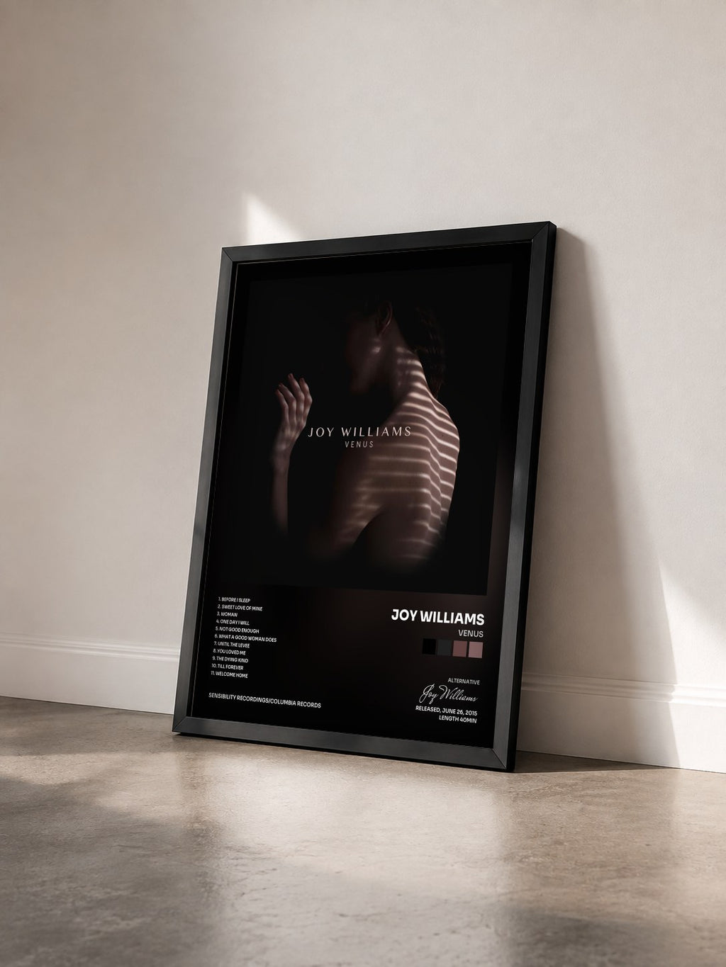 #noir Tableau de l'album VENUS de Joy Williams vu de trois quarts, cadre noir