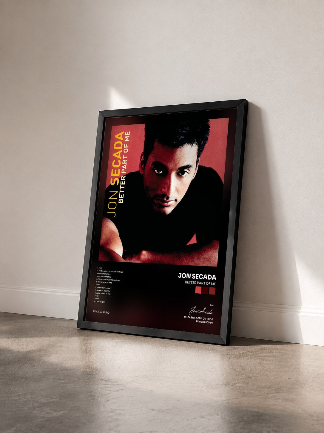 #noir Tableau de l'album Better Part Of Me de Jon Secada vu de trois quarts, cadre noir
