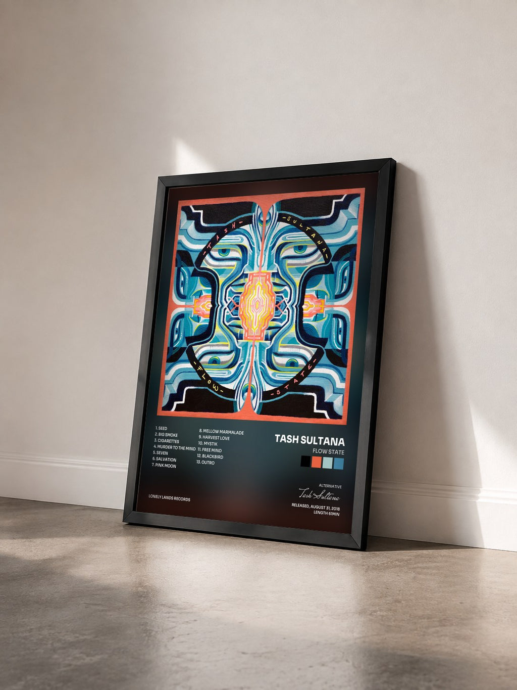 #noir Tableau de l'album Flow State de Tash Sultana vu de trois quarts, cadre noir