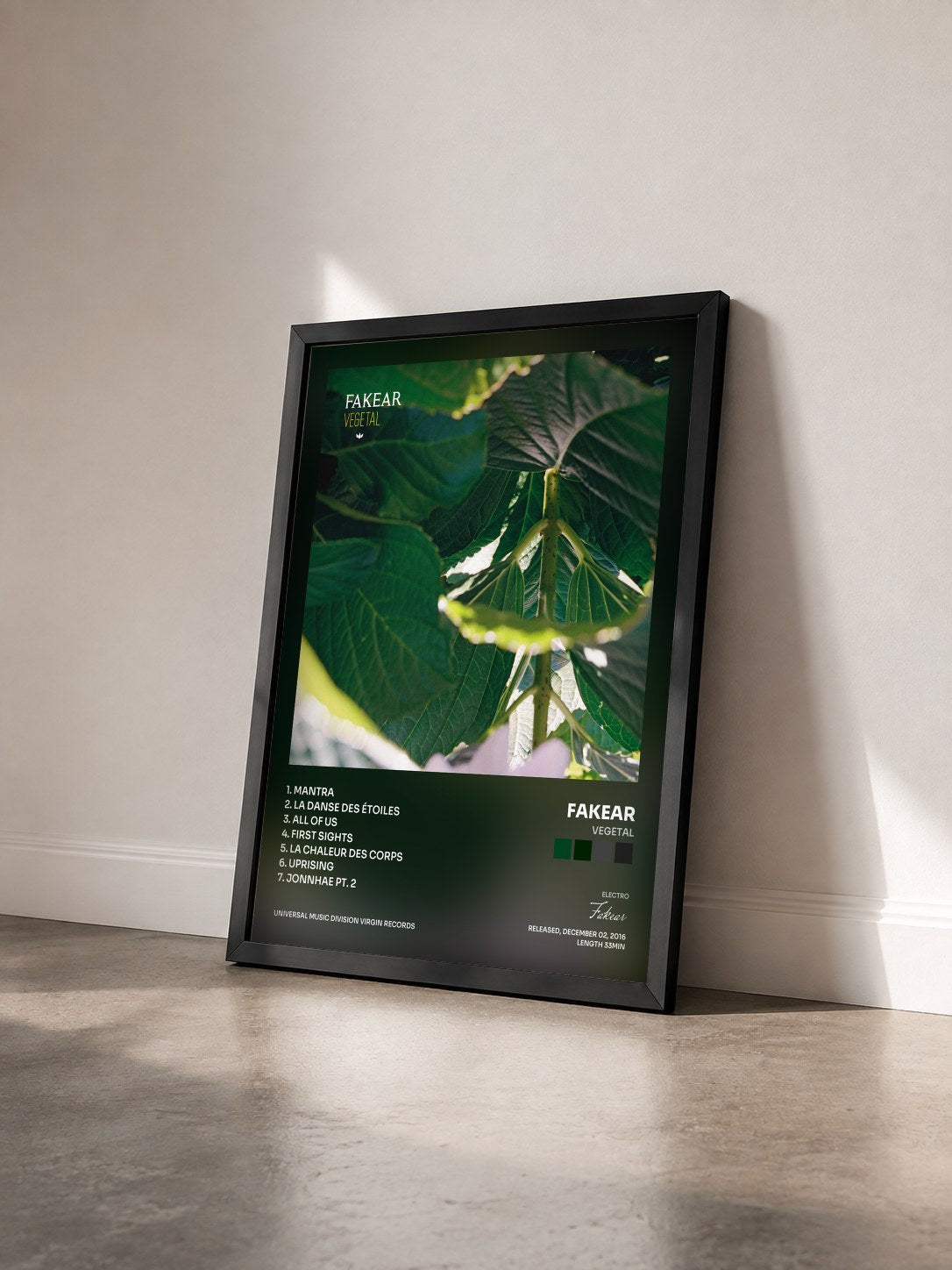 #noir Tableau de l'album Vegetal de Fakear vu de trois quarts, cadre noir
