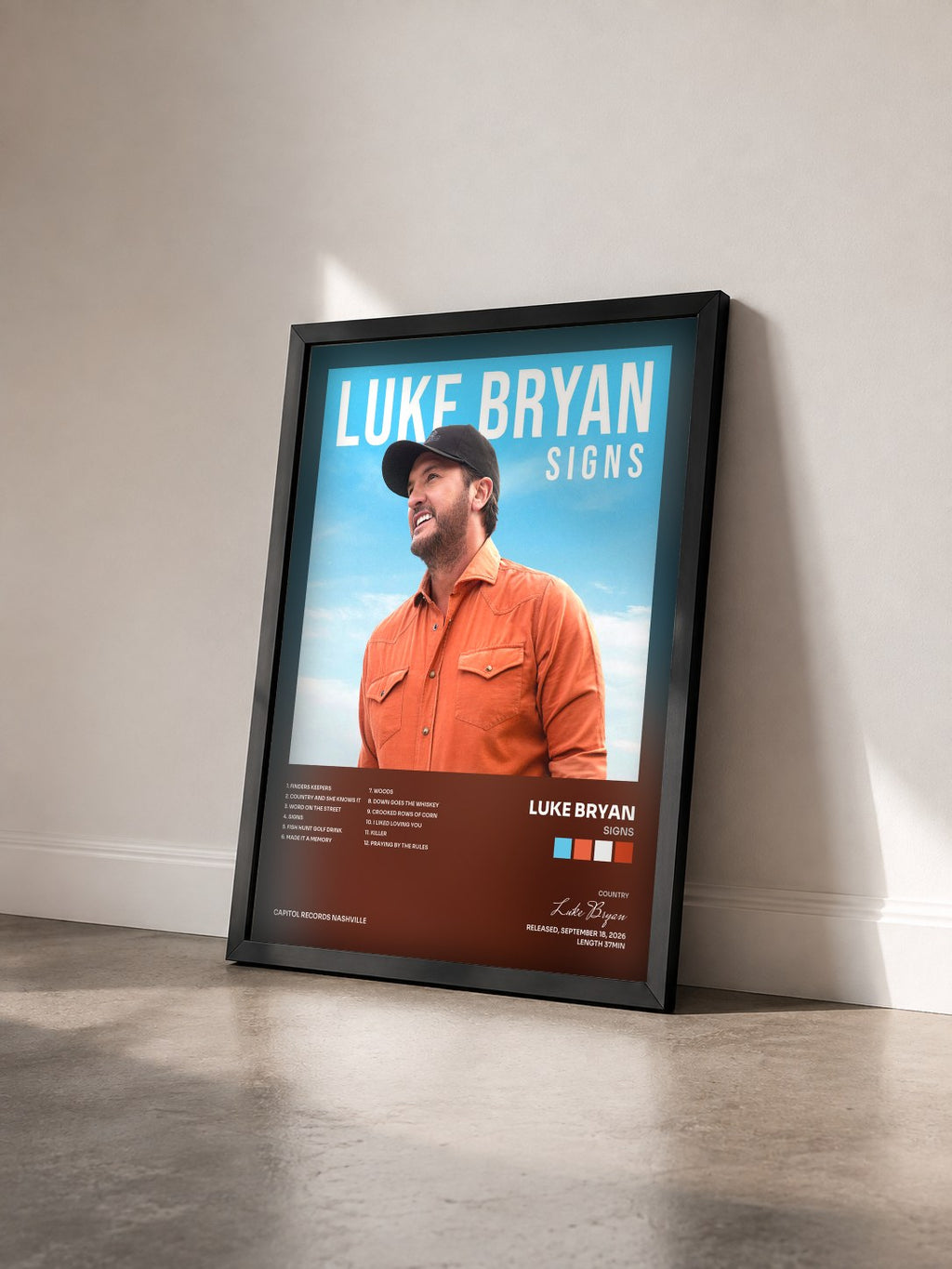 #noir Tableau de l'album Signs de Luke Bryan vu de trois quarts, cadre noir
