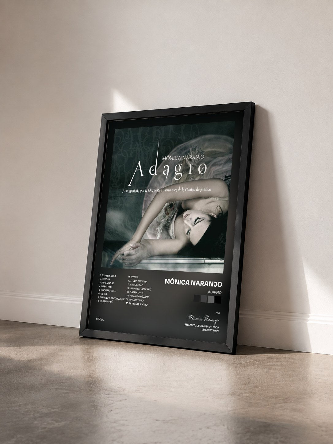 #noir Tableau de l'album Adagio de Mónica Naranjo vu de trois quarts, cadre noir